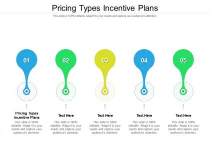 Pricing types incentive plans ppt powerpoint presentation icon clipart images cpb