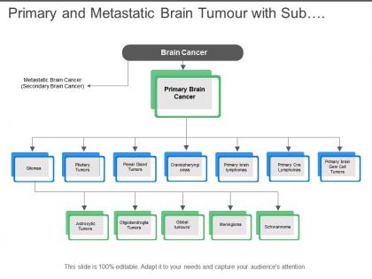 Primary and metastatic brain tumour with sub categories