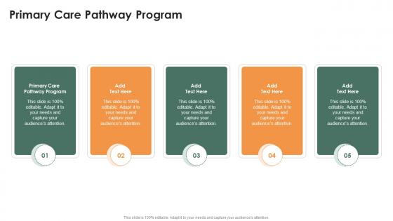 Primary Care Pathway Program In Powerpoint And Google Slides Cpb