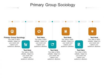 Primary group sociology ppt powerpoint presentation infographic template background cpb
