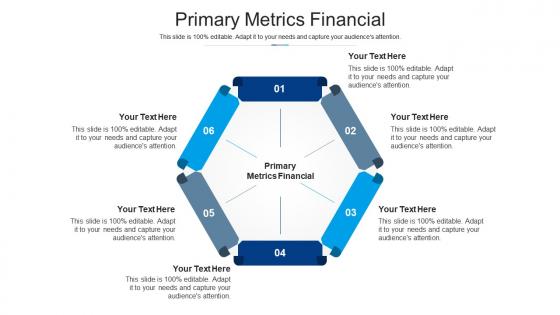 Primary metrics financial ppt powerpoint presentation model demonstration cpb
