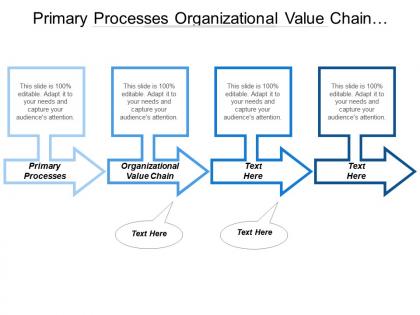 Primary processes organizational value chain service development management