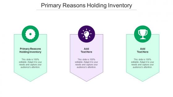 Primary Reasons Holding Inventory Ppt Powerpoint Presentation Download Cpb