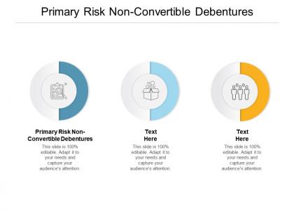 Primary risk non-convertible debentures ppt powerpoint presentation inspiration mockup cpb