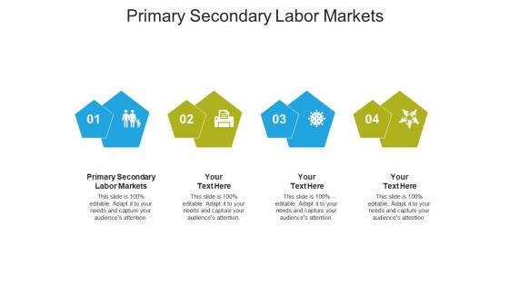 Primary secondary labor markets ppt powerpoint presentation infographic template cpb