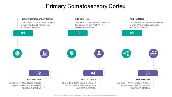 Primary Somatosensory Cortex In Powerpoint And Google Slides Cpb