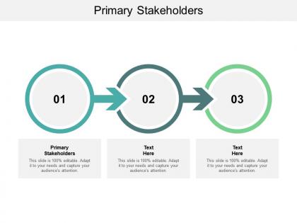 Primary stakeholders ppt powerpoint presentation file portrait cpb