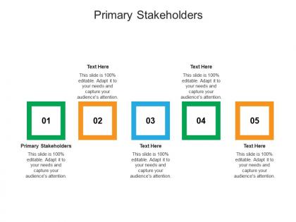 Primary stakeholders ppt powerpoint presentation show cpb