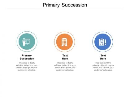 Primary succession ppt powerpoint presentation slides guide cpb