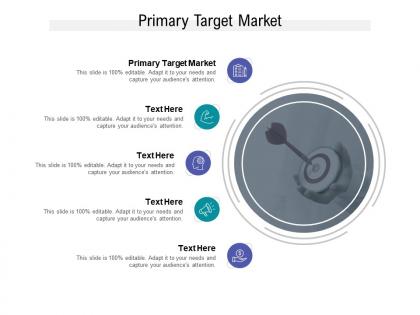 Primary target market ppt powerpoint presentation show vector cpb