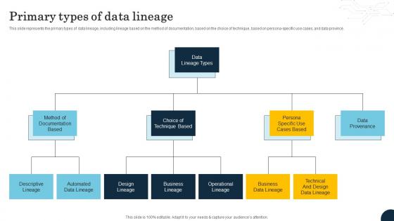 Primary Types Of Data Lineage Data Lineage Types It Ppt Background