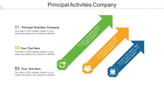 Principal Activities Company Ppt Powerpoint Presentation Icon Show Cpb
