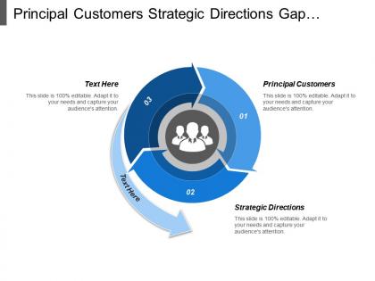 Principal customers strategic directions gap analysis compensation analysis