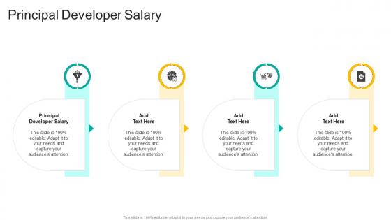 Principal Developer Salary In Powerpoint And Google Slides Cpb