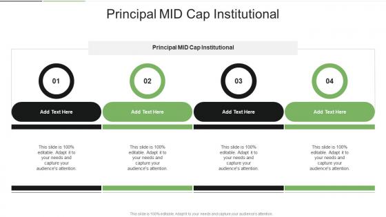 Principal MID Cap Institutional In Powerpoint And Google Slides Cpb