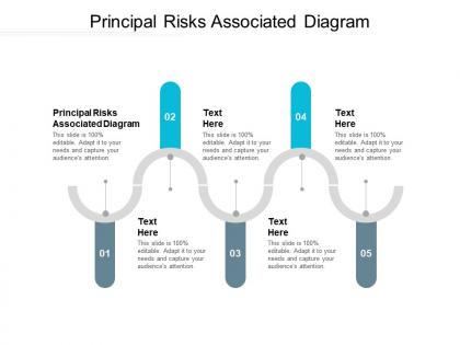 Principal risks associated diagram ppt powerpoint presentation infographic template sample cpb