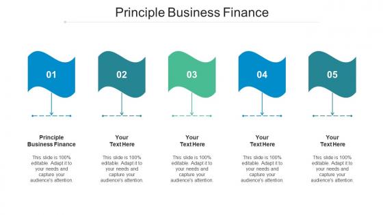 Principle Business Finance Ppt Powerpoint Presentation Inspiration Slide Download Cpb