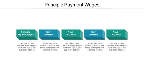 Principle payment wages ppt powerpoint presentation icon graphics tutorials cpb