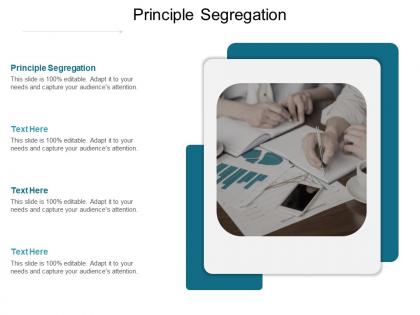 Principle segregation ppt powerpoint presentation file graphics design cpb