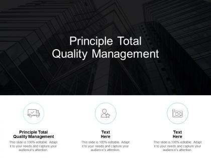 Principle total quality management ppt powerpoint presentation summary good cpb