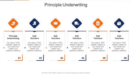 Principle Underwriting In Powerpoint And Google Slides Cpb