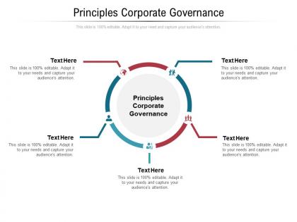 Principles corporate governance ppt powerpoint presentation show icon cpb