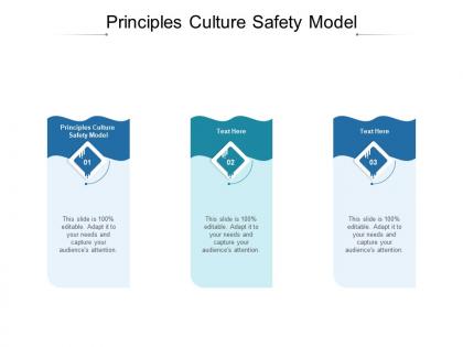 Principles culture safety model ppt powerpoint presentation icon guidelines cpb