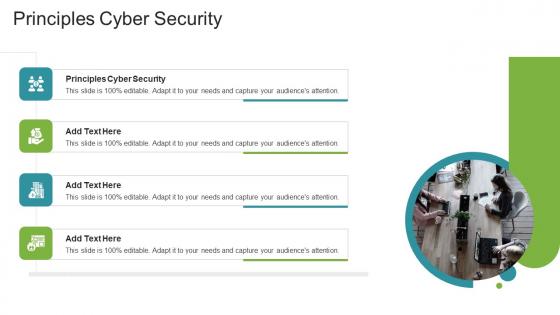 Principles Cyber Security In Powerpoint And Google Slides Cpb