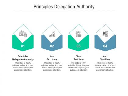 Principles delegation authority ppt powerpoint presentation portfolio demonstration cpb
