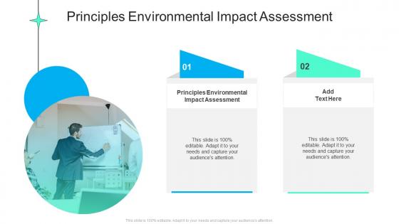 Principles Environmental Impact Assessment In Powerpoint And Google Slides Cpb