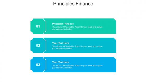 Principles Finance Ppt Powerpoint Presentation Professional Information Cpb