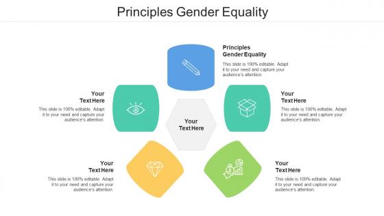 Principles Gender Equality Ppt Powerpoint Presentation Pictures Icon Cpb