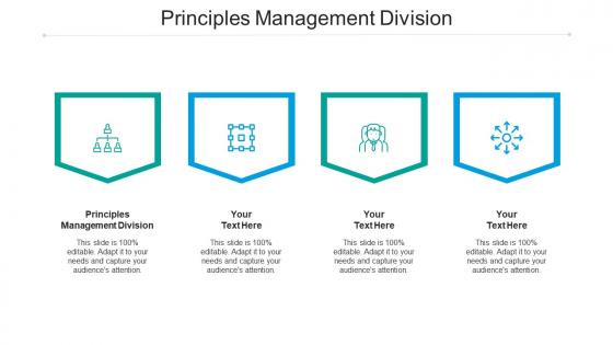 Principles management division ppt powerpoint presentation infographic template skills cpb