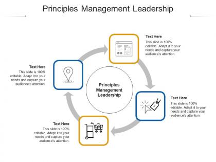 Principles management leadership ppt powerpoint presentation portfolio design cpb