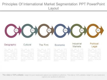 Principles of international market segmentation ppt powerpoint layout