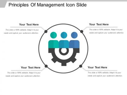 Principles of management icon slide