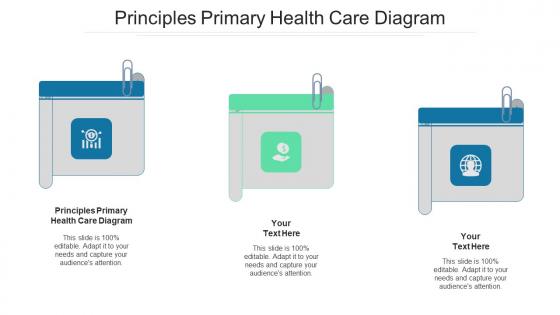 Principles primary health care diagram ppt powerpoint presentation show templates cpb