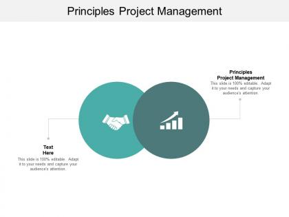 Principles project management ppt powerpoint presentation outline example cpb
