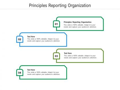 Principles reporting organization ppt powerpoint presentation portfolio introduction cpb