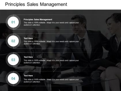 Principles sales management ppt powerpoint presentation design ideas cpb