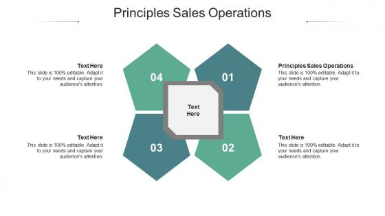 Principles sales operations ppt powerpoint presentation pictures backgrounds cpb