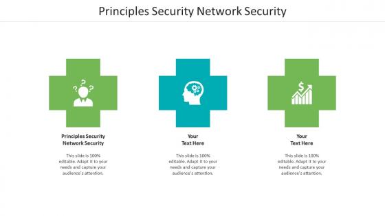 Principles security network security ppt powerpoint presentation professional portfolio cpb