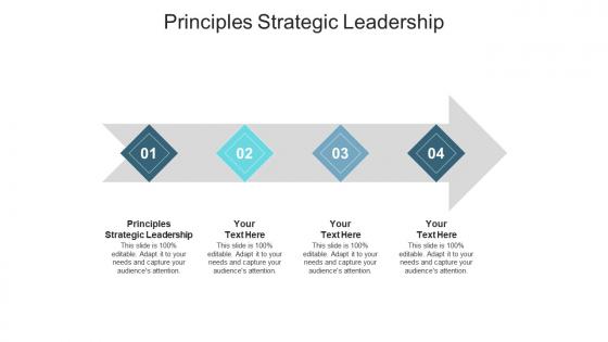 Principles strategic leadership ppt powerpoint presentation portfolio gridlines cpb