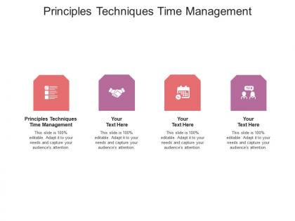 Principles techniques time management ppt powerpoint presentation styles graphics download cpb