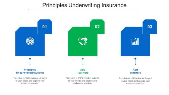 Principles Underwriting Insurance Ppt Powerpoint Presentation Styles Ideas Cpb