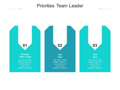 Priorities team leader ppt powerpoint presentation gallery slide download cpb