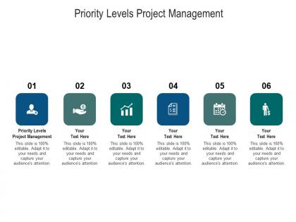 Priority levels project management ppt powerpoint presentation templates cpb