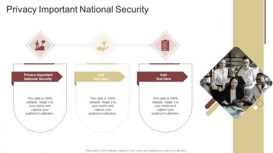 Privacy Important National Security In Powerpoint And Google Slides Cpb