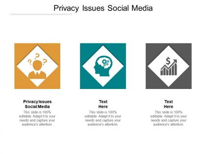 Privacy issues social media ppt powerpoint presentation icon picture cpb