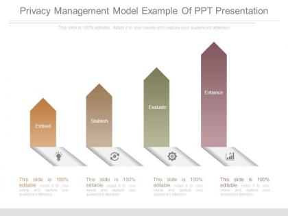 Privacy management model example of ppt presentation